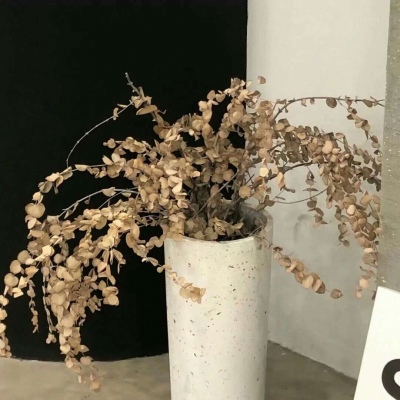 兽设星空场景设计福瑞交流群